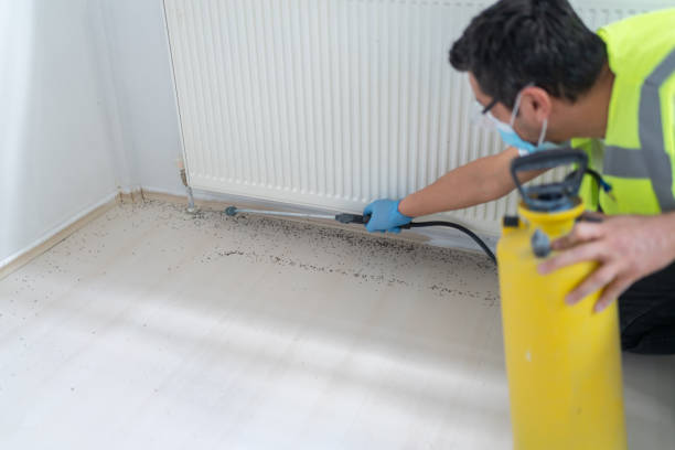 Best Pest Removal Services  in Carlsbad, NM